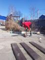 Услуги разнорабочих заказать, нанять